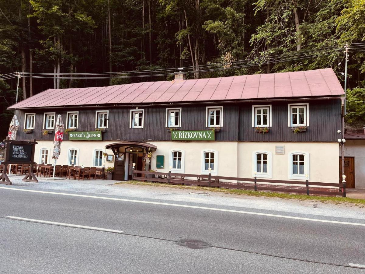 Pod Svatou Annou - Penzion A Rizkovna Horní Maršov Eksteriør billede